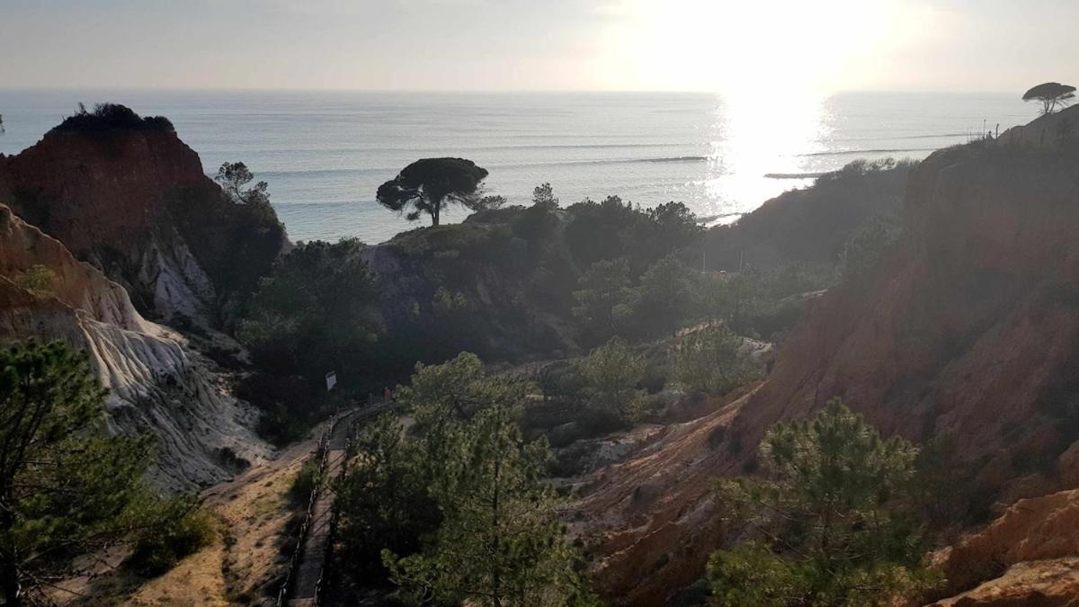 Appartement Sea View